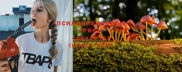 круглые Алексин